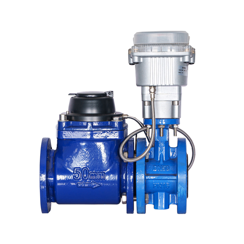 WPH DN50-DN200 کنتور آب کنترل شده با بال پیچی افقی قابل جدا شدن (با شیر انباشته)