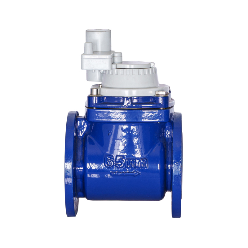 کنتور آب یکپارچه غیر مغناطیسی WPH DN50-DN200 بال پیچی جداشدنی افقی